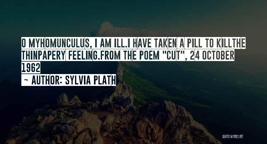 I'm Feeling Ill Quotes By Sylvia Plath
