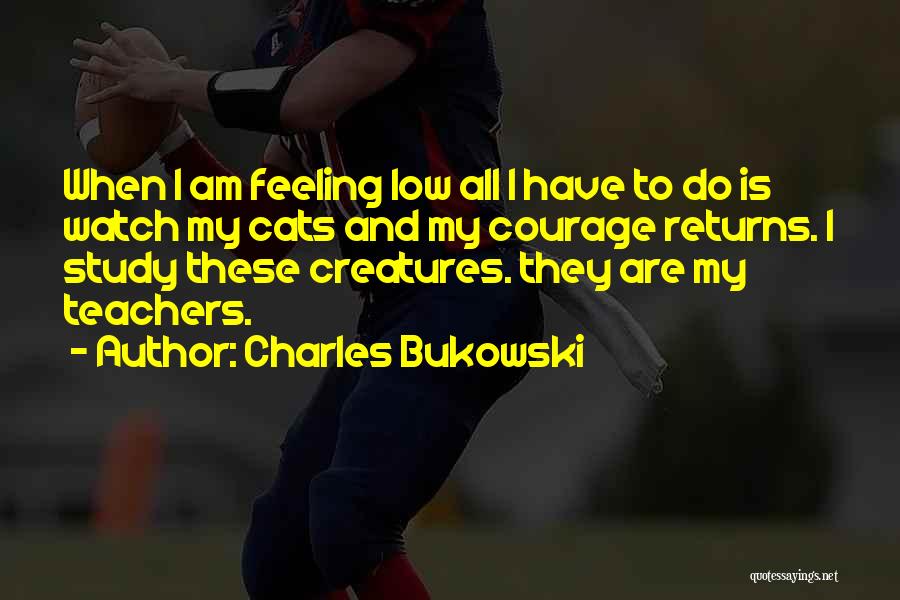 I'm Feeling Low Quotes By Charles Bukowski