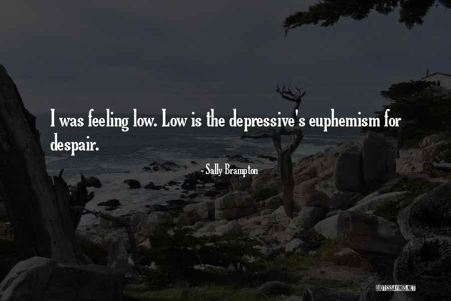 I'm Feeling Low Quotes By Sally Brampton