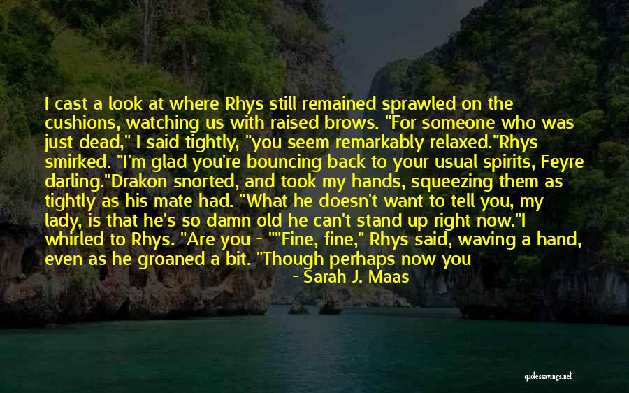 I'm Fine Quotes By Sarah J. Maas I'm Fine Quotes By Sarah J. Maas