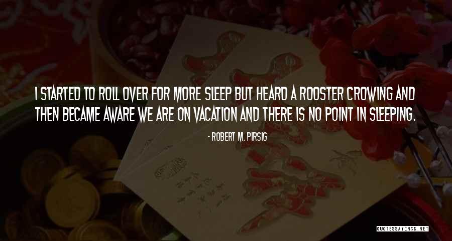 I'm Going On Vacation Quotes By Robert M. Pirsig