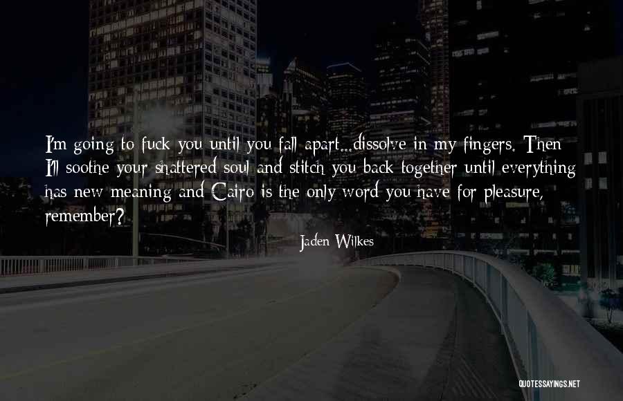 I'm Going To Fall Back Quotes By Jaden Wilkes I'm Going To Fall Back Quotes By Jaden Wilkes