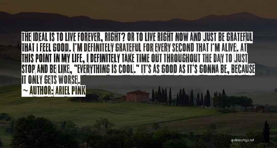 I'm Grateful For My Life Quotes By Ariel Pink