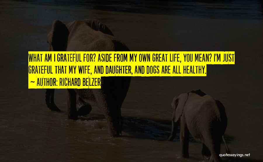 I'm Grateful For My Life Quotes By Richard Belzer