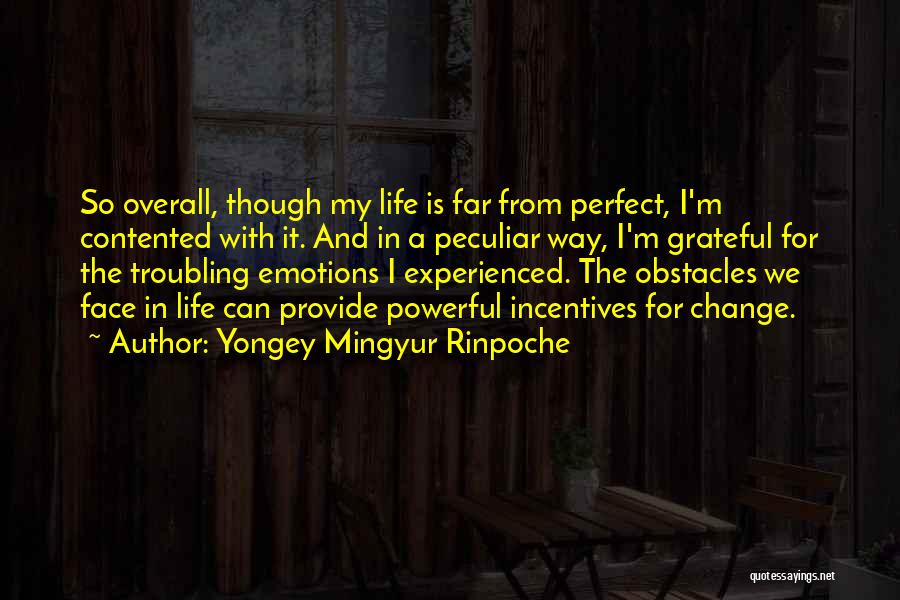 I'm Grateful For My Life Quotes By Yongey Mingyur Rinpoche