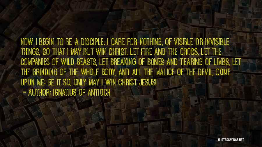 I'm Grinding Quotes By Ignatius Of Antioch