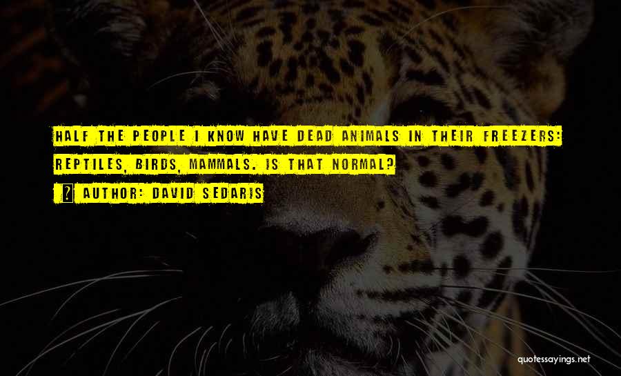 I'm Half Dead Quotes By David Sedaris