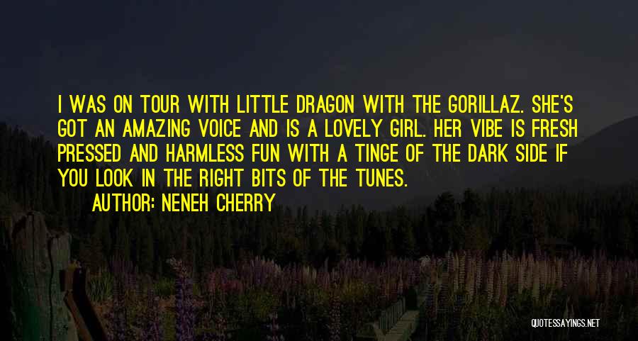 I'm Harmless Quotes By Neneh Cherry