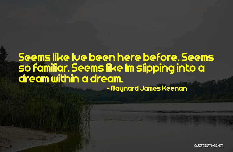 Im Here For You Quotes By Maynard James Keenan Im Here For You Quotes By Maynard James Keenan