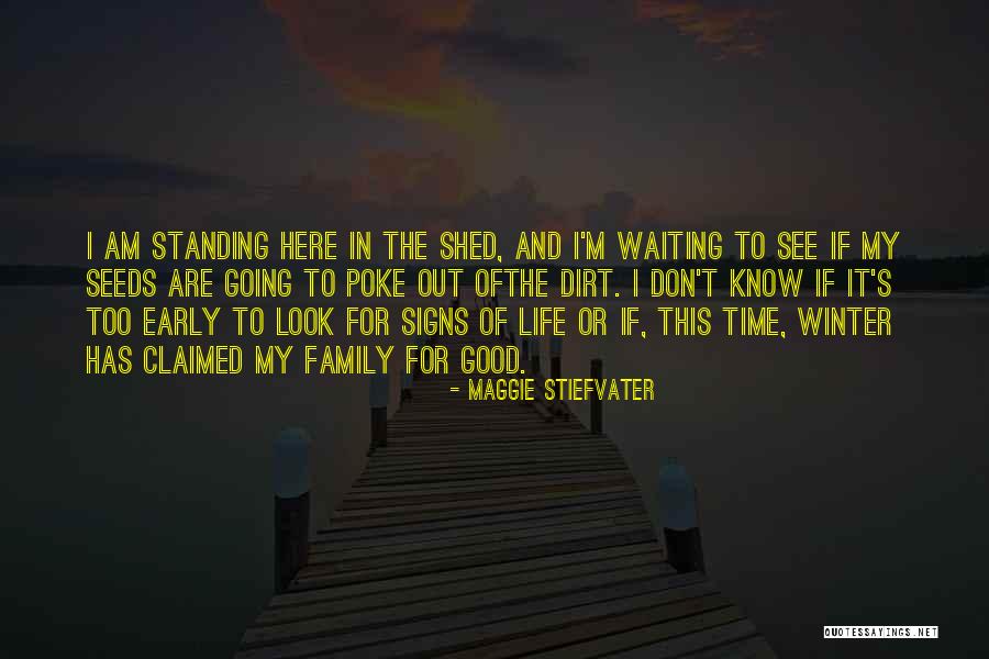 I'm Here Waiting Quotes By Maggie Stiefvater I'm Here Waiting Quotes By Maggie Stiefvater
