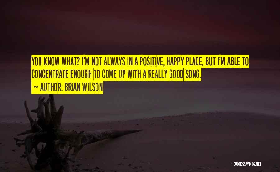 I'm In A Good Place Quotes By Brian Wilson