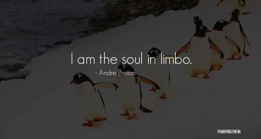 I'm In Limbo Quotes By Andre Breton