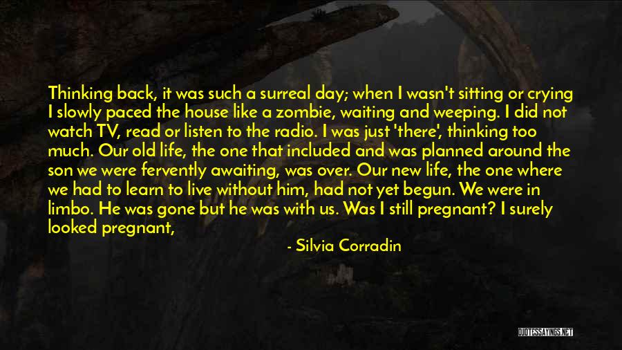 I'm In Limbo Quotes By Silvia Corradin I'm In Limbo Quotes By Silvia Corradin
