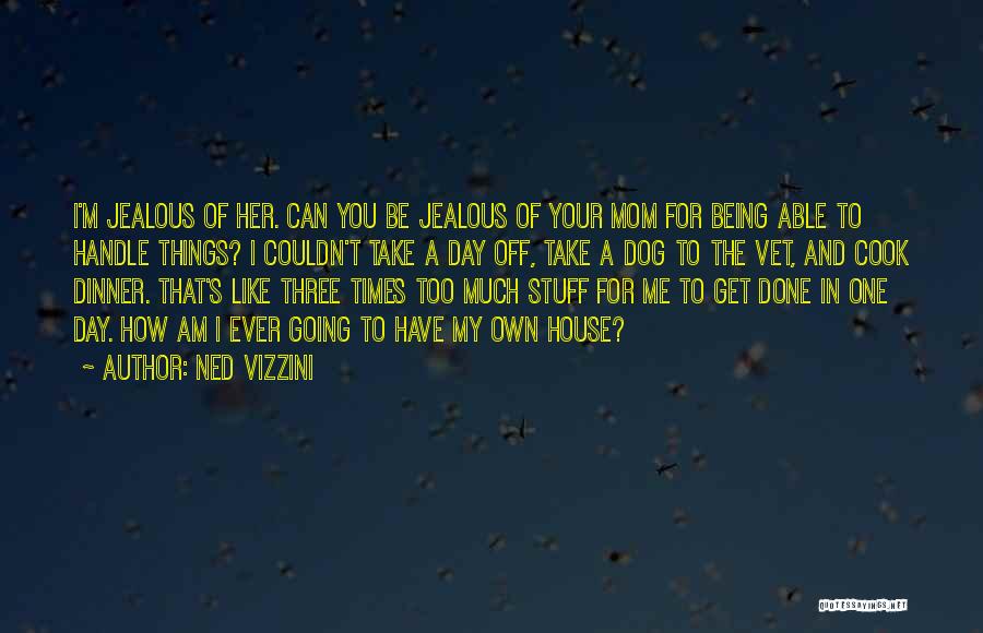 I'm Jealous Of You Quotes By Ned Vizzini