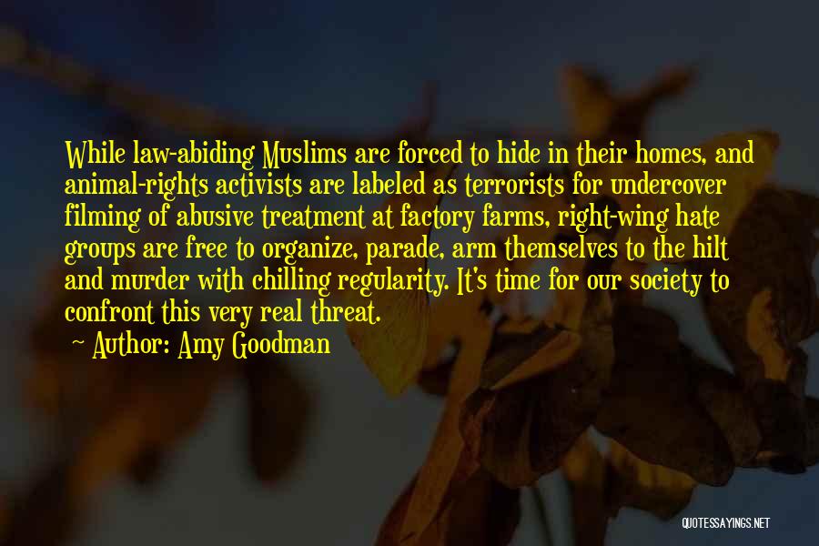 I'm Just Chilling Quotes By Amy Goodman