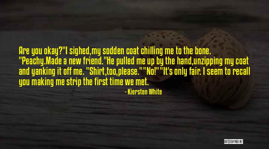 I'm Just Chilling Quotes By Kiersten White