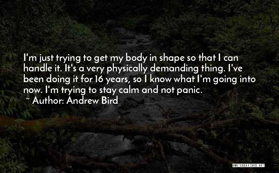 I'm Just Doing My Thing Quotes By Andrew Bird