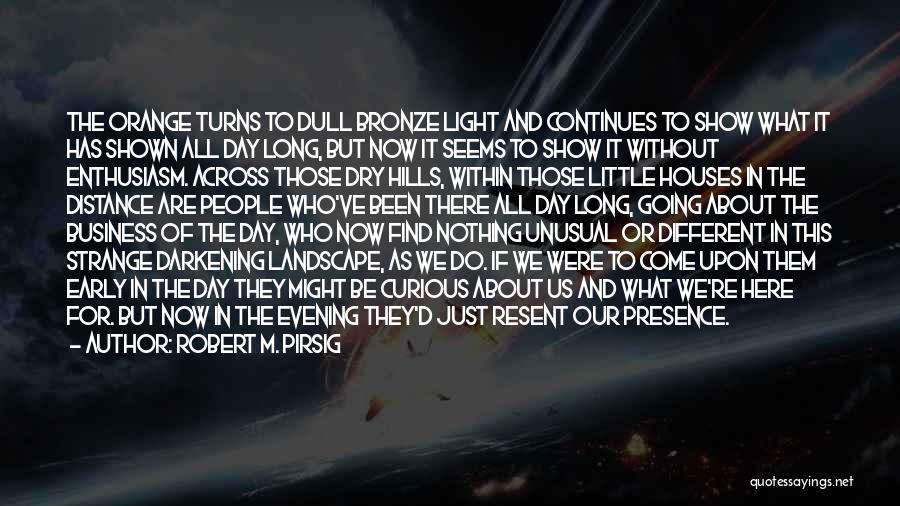 I'm Just Feeling Down Quotes By Robert M. Pirsig