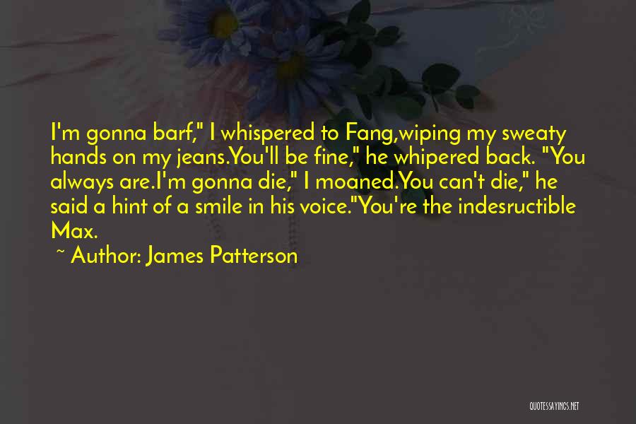 I'm Just Gonna Smile Quotes By James Patterson