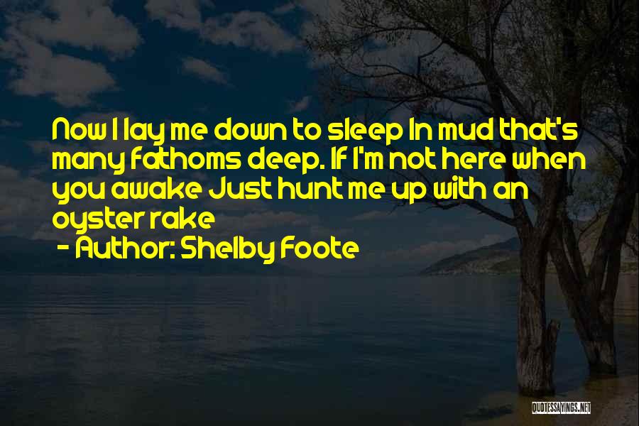 I'm Just Here Quotes By Shelby Foote
