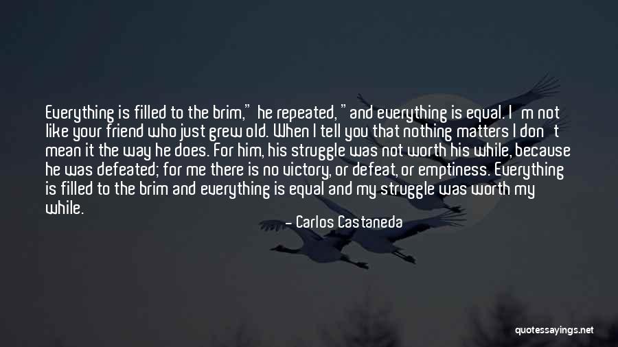 I'm Just Nothing To You Quotes By Carlos Castaneda I'm Just Nothing To You Quotes By Carlos Castaneda