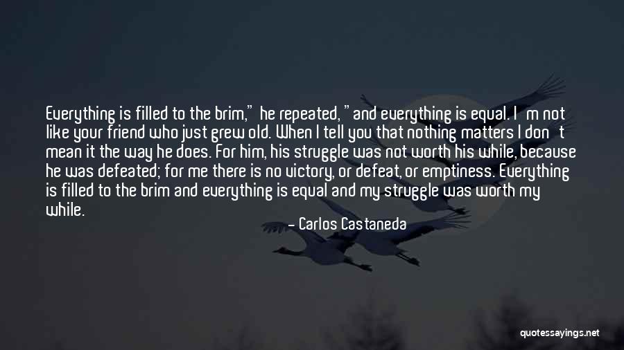 I'm Just Nothing To You Quotes By Carlos Castaneda