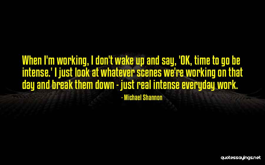 I'm Just Ok Quotes By Michael Shannon I'm Just Ok Quotes By Michael Shannon