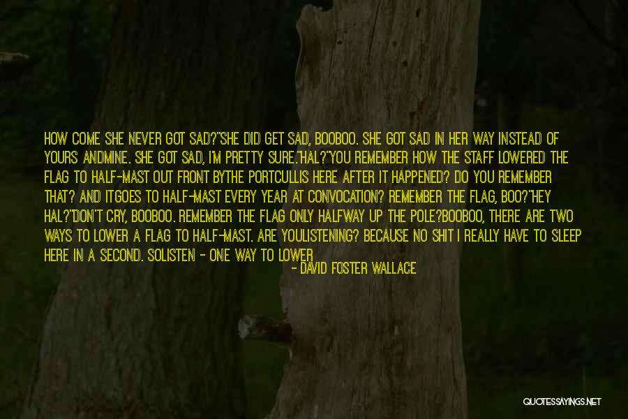 I'm Just So Sad Quotes By David Foster Wallace