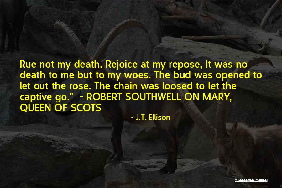 Im Kickass Quotes By J.T. Ellison Im Kickass Quotes By J.T. Ellison