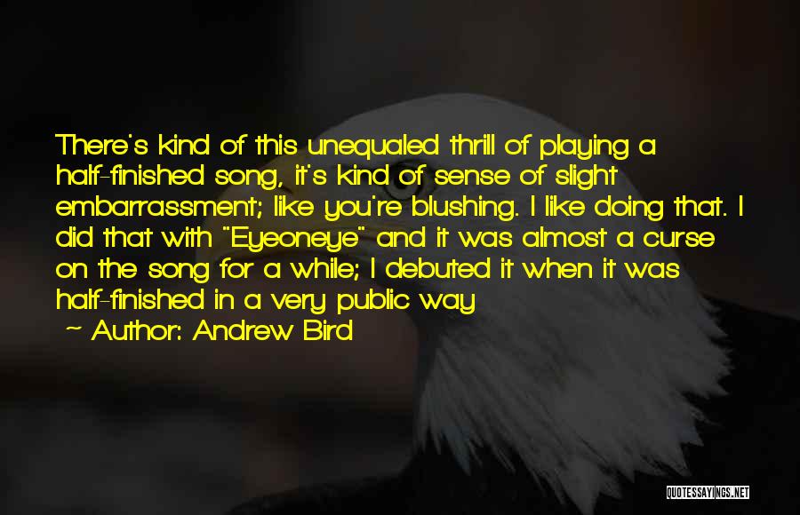 I'm Like A Bird Quotes By Andrew Bird