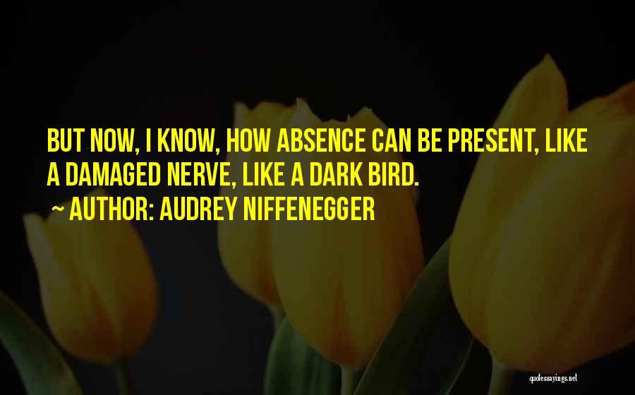 I'm Like A Bird Quotes By Audrey Niffenegger