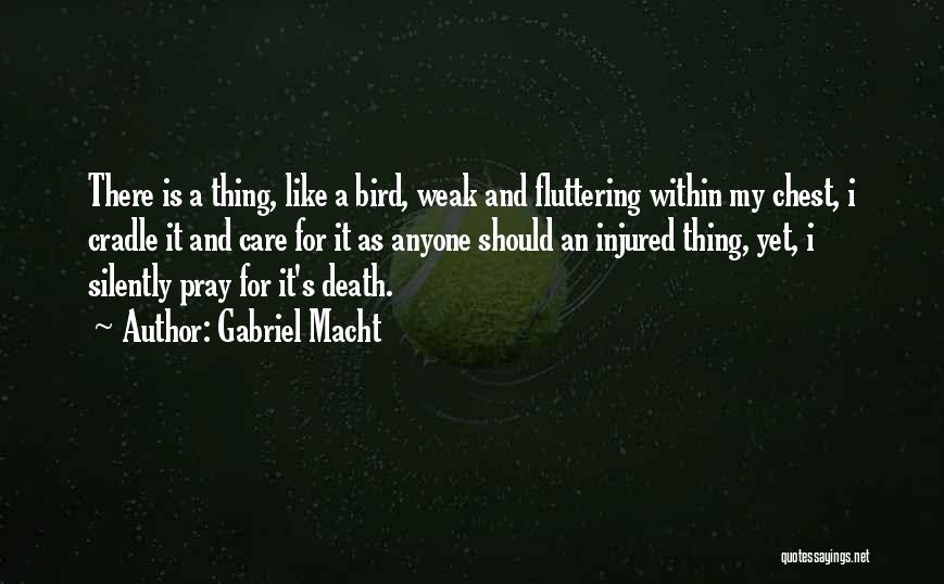 I'm Like A Bird Quotes By Gabriel Macht