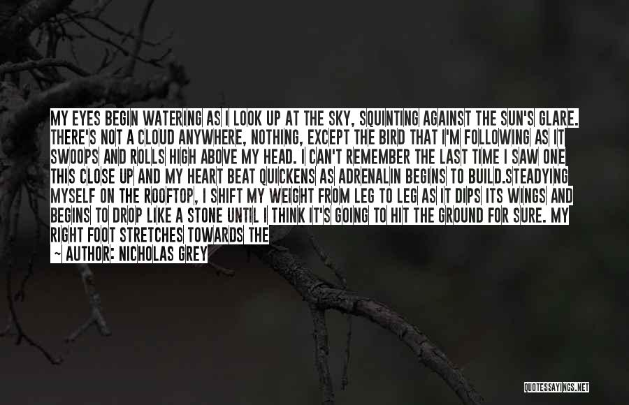 I'm Like A Bird Quotes By Nicholas Grey