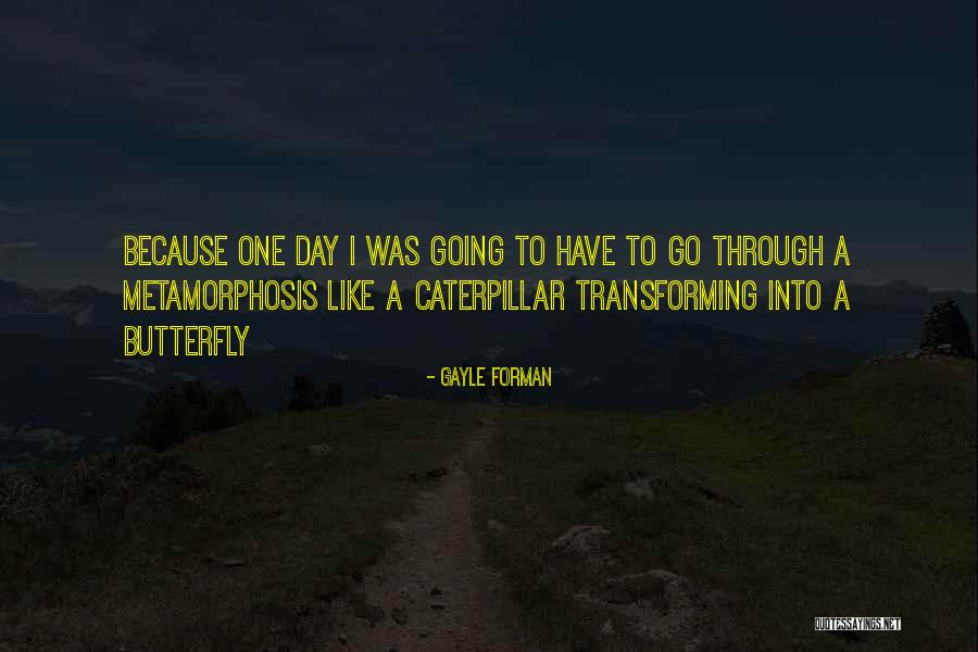I'm Like A Butterfly Quotes By Gayle Forman I'm Like A Butterfly Quotes By Gayle Forman