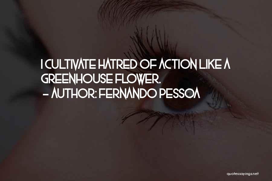 I'm Like A Flower Quotes By Fernando Pessoa