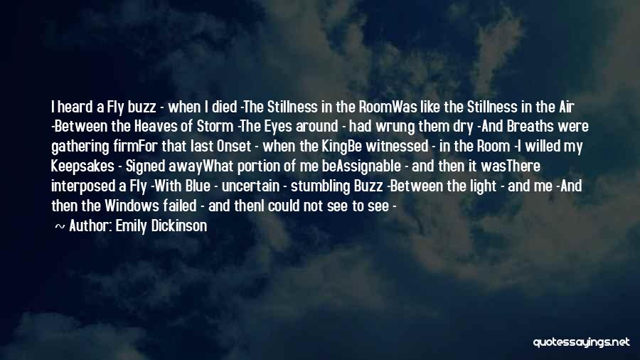 I'm Like A Storm Quotes By Emily Dickinson