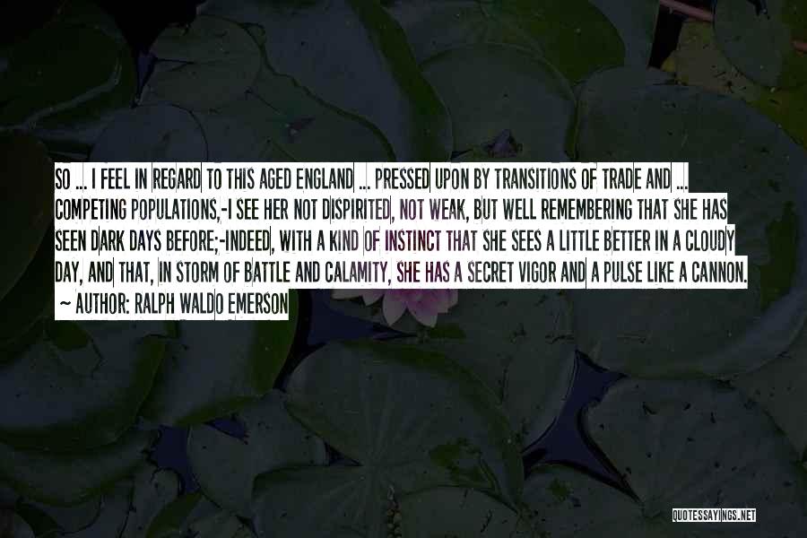 I'm Like A Storm Quotes By Ralph Waldo Emerson