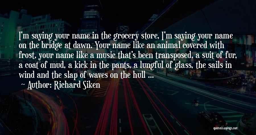 I'm Like A Wind Quotes By Richard Siken