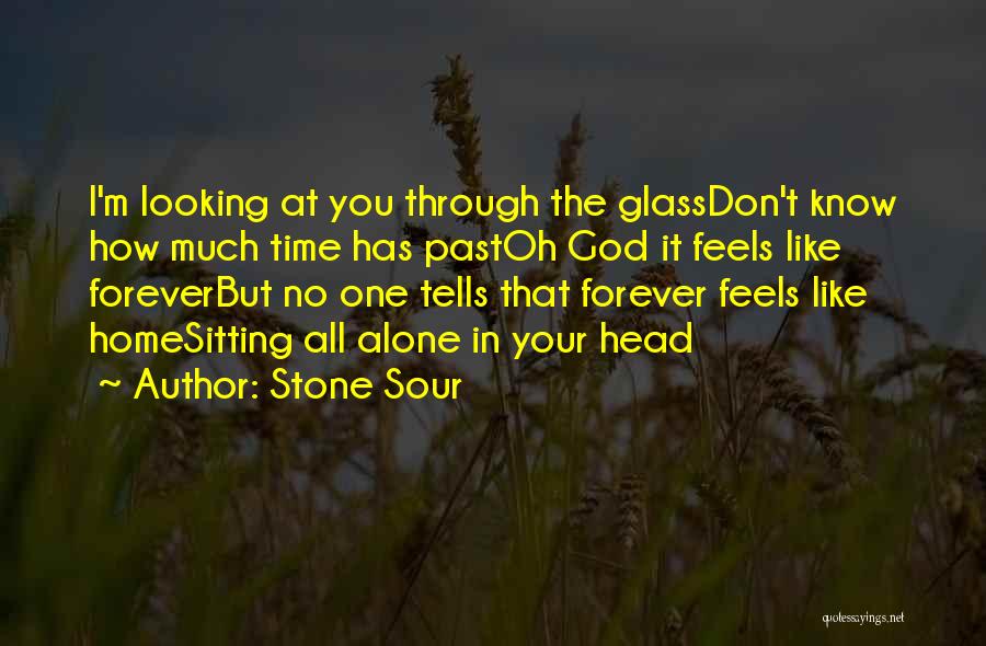 I'm Looking Past You Quotes By Stone Sour