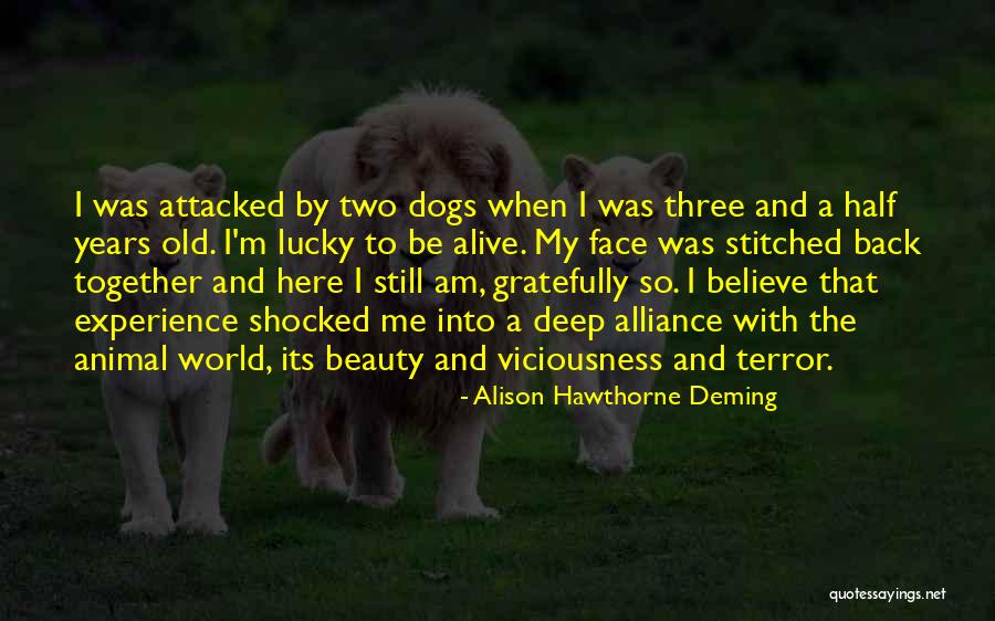 I'm Lucky To Be Alive Quotes By Alison Hawthorne Deming