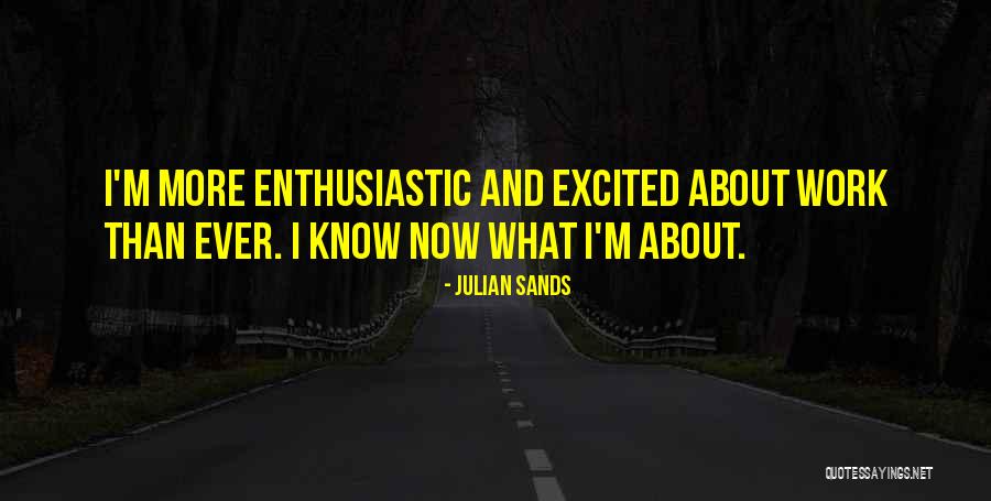 I'm More Excited Than Quotes By Julian Sands I'm More Excited Than Quotes By Julian Sands