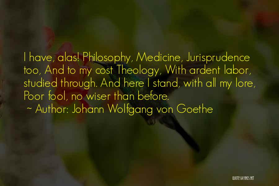 I'm No Fool Quotes By Johann Wolfgang Von Goethe