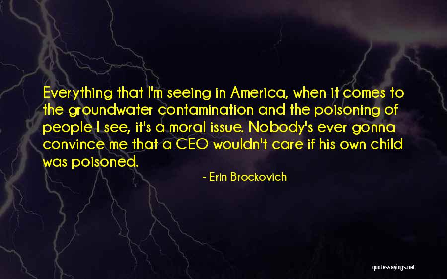 I'm Nobody Quotes By Erin Brockovich