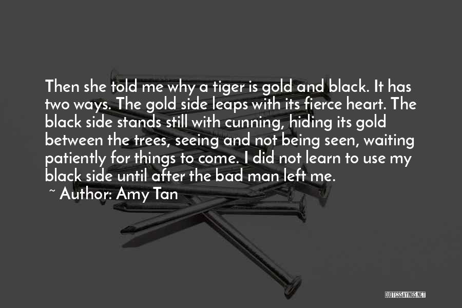 I'm Not A Bad Man Quotes By Amy Tan