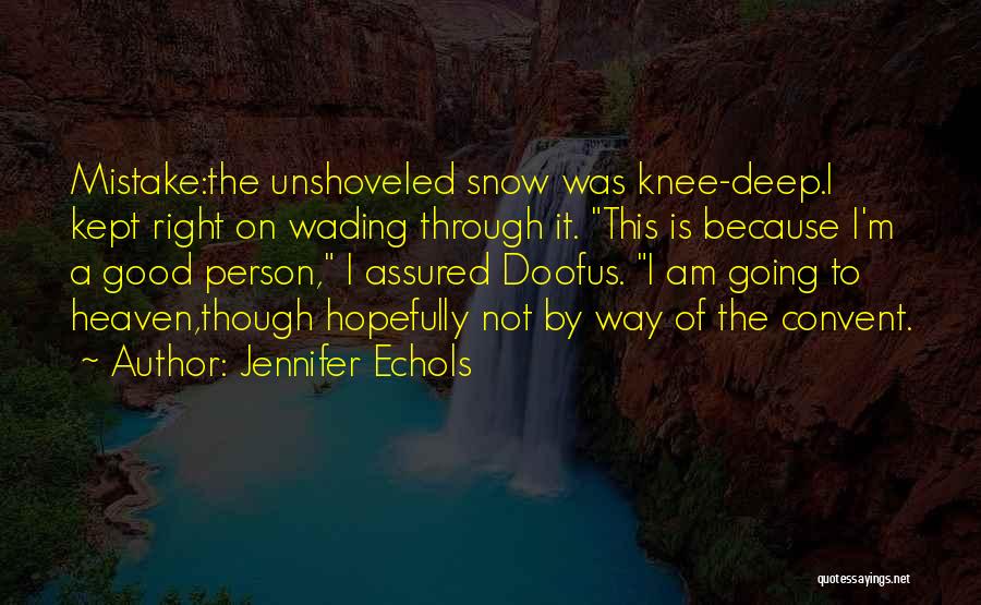 I'm Not A Good Person Quotes By Jennifer Echols