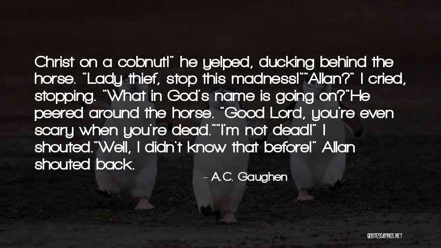 I'm Not A Lady Quotes By A.C. Gaughen I'm Not A Lady Quotes By A.C. Gaughen