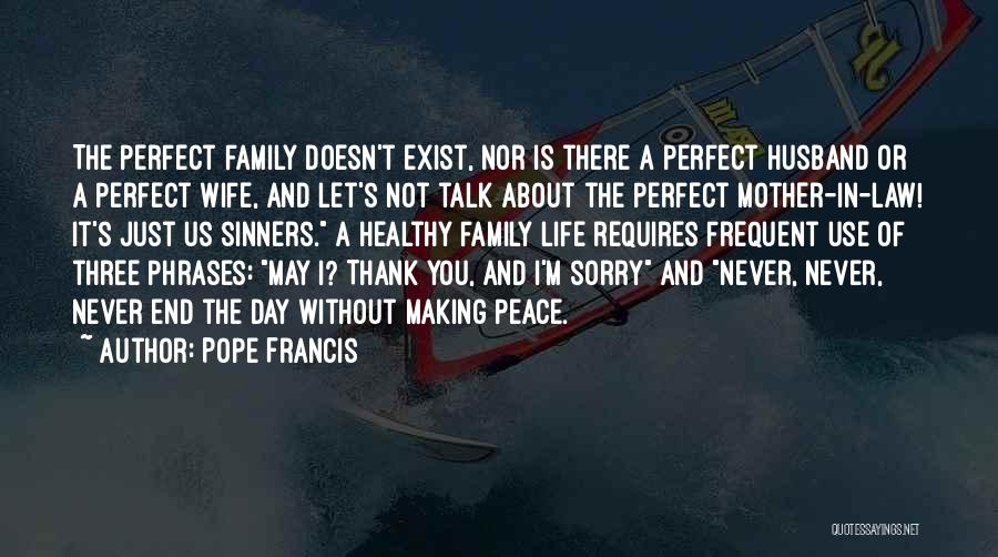 I'm Not A Perfect Wife Quotes By Pope Francis