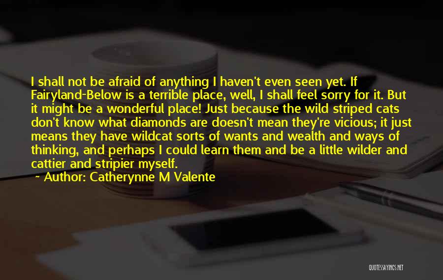 I'm Not Afraid Of Anything Quotes By Catherynne M Valente