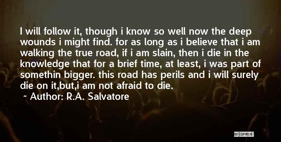 I'm Not Afraid To Die Quotes By R.A. Salvatore