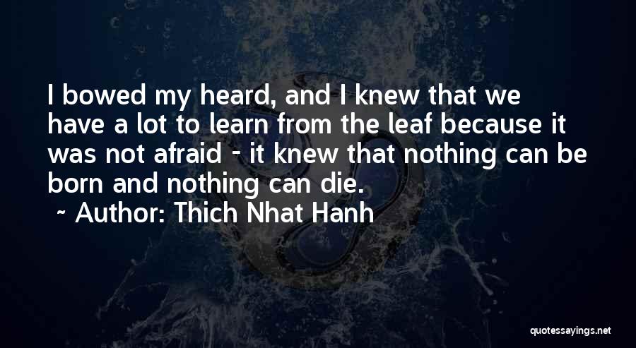 I'm Not Afraid To Die Quotes By Thich Nhat Hanh